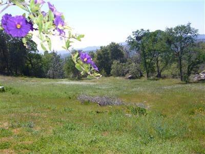 23650 Loper Valley Road Prather, CA 93651 - Photo 11 of 13 Gallery Image 11