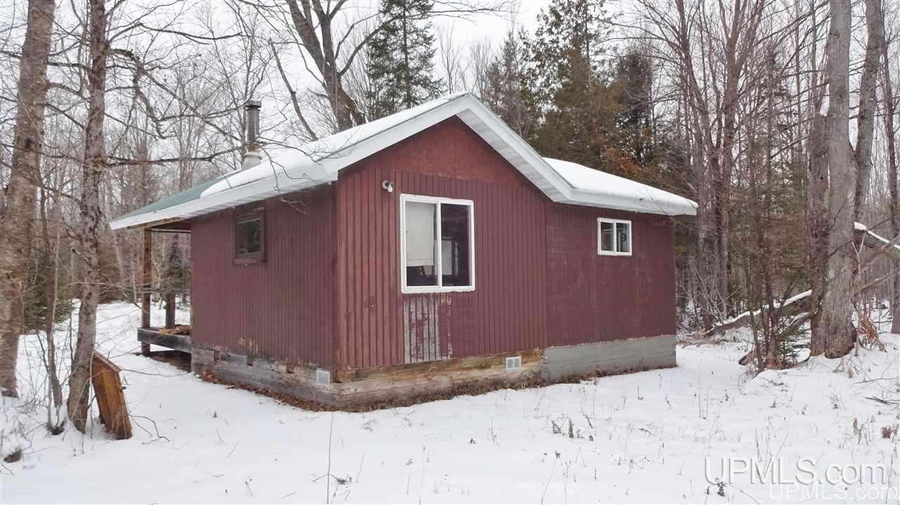 Tbd Winters/savola Road Trenary, MI 49891 - Photo 3 of 19