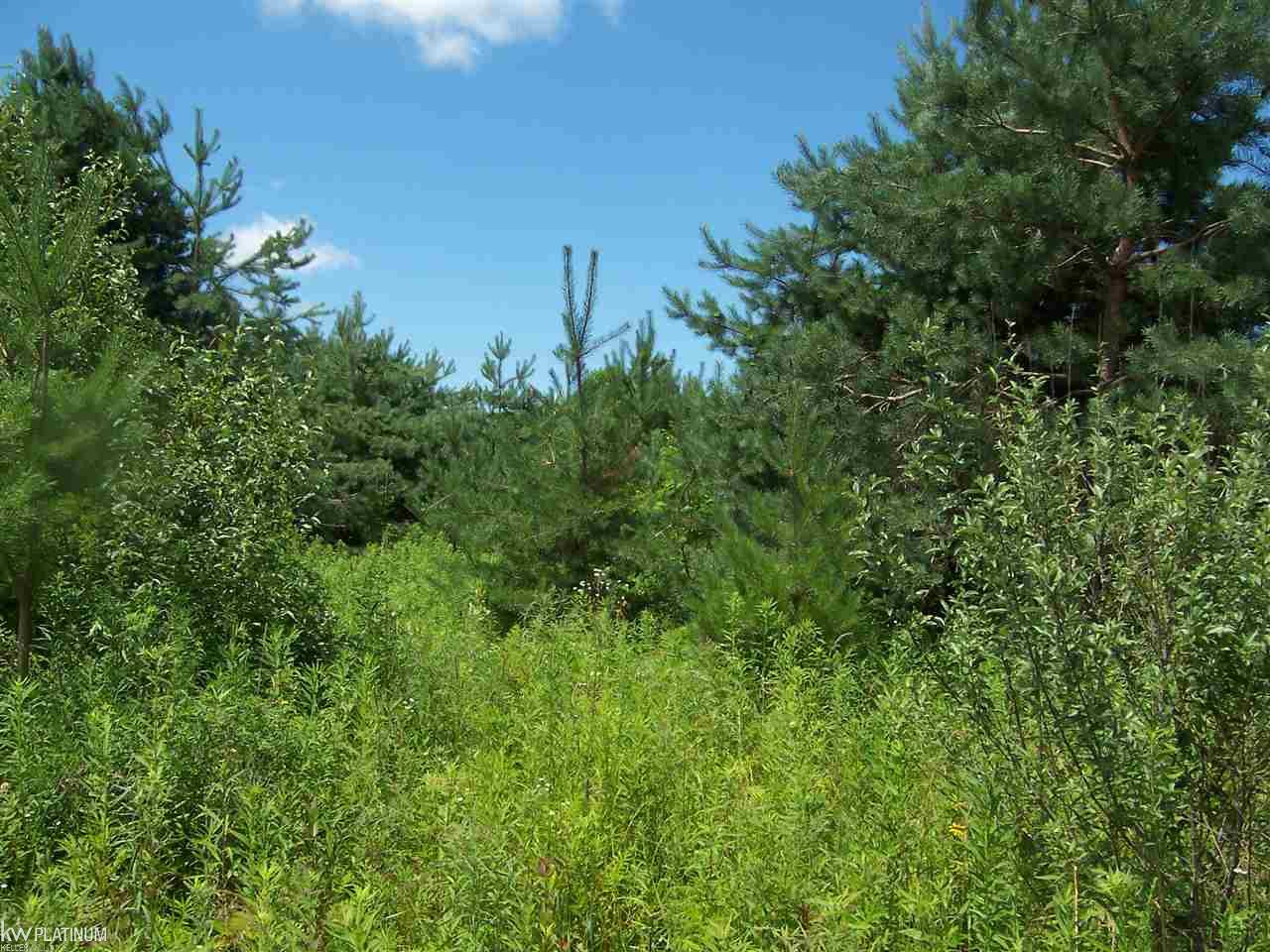 0 O'neil Road Goodells, MI 48027 - Photo 2 of 3