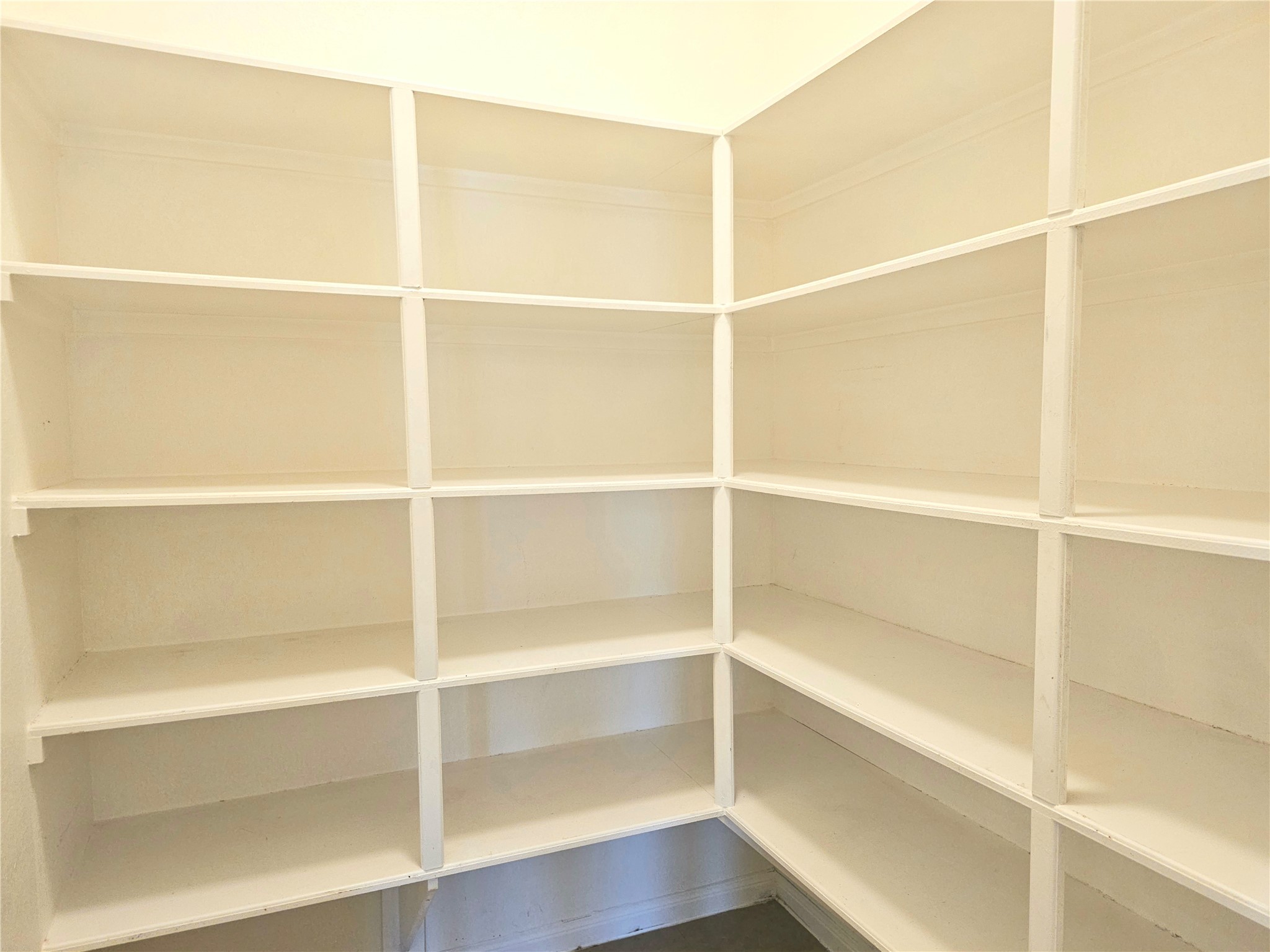 22106 Flashing Ridge Spring, TX 77389 - Photo 15 of 44 a view of a walk in closet with empty racks