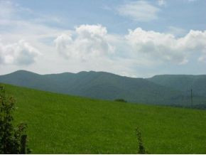 199 Cole Hollow Road Elizabethton, TN 37643 - Photo 10 of 10 Beautiful Mt views from deck