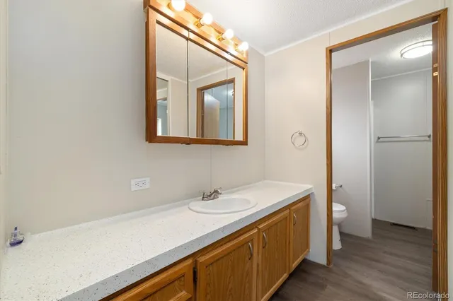 a bathroom with a sink a toilet and a mirror