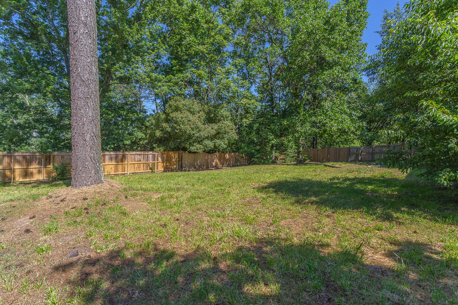 325 Bookout Road Ringgold, GA 30736 - Photo 30 of 34 View of Backyard