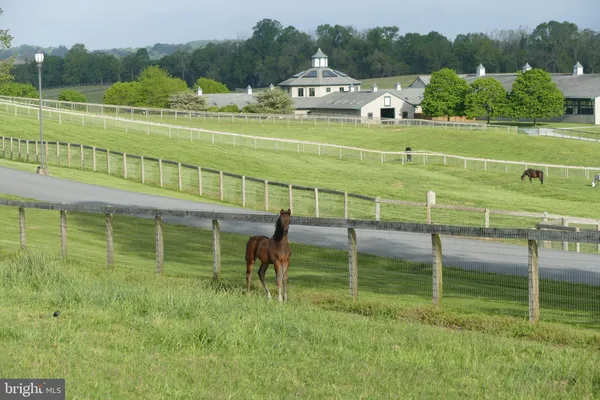 $10,000,000 | 1089 Nesbitt Road, Colora, MD 21917