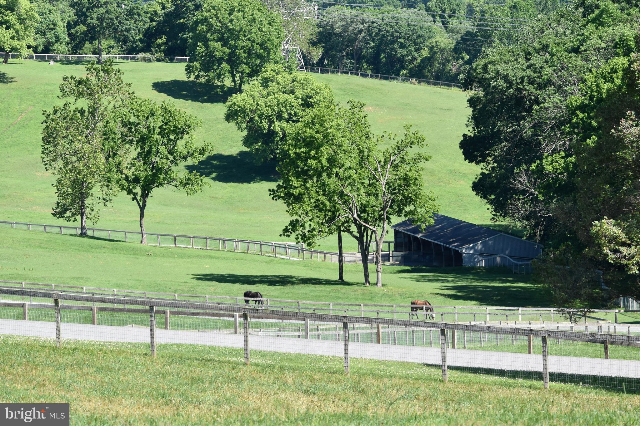 1089 Nesbitt Road Colora, MD 21917 - Photo 14 of 17