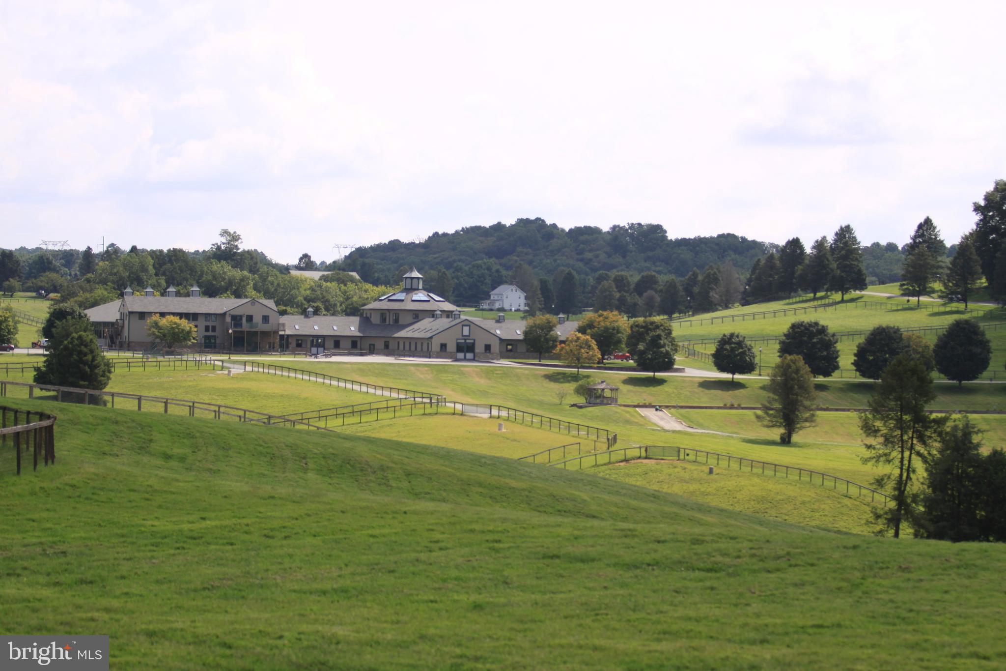 1089 Nesbitt Road Colora, MD 21917 - Photo 2 of 17