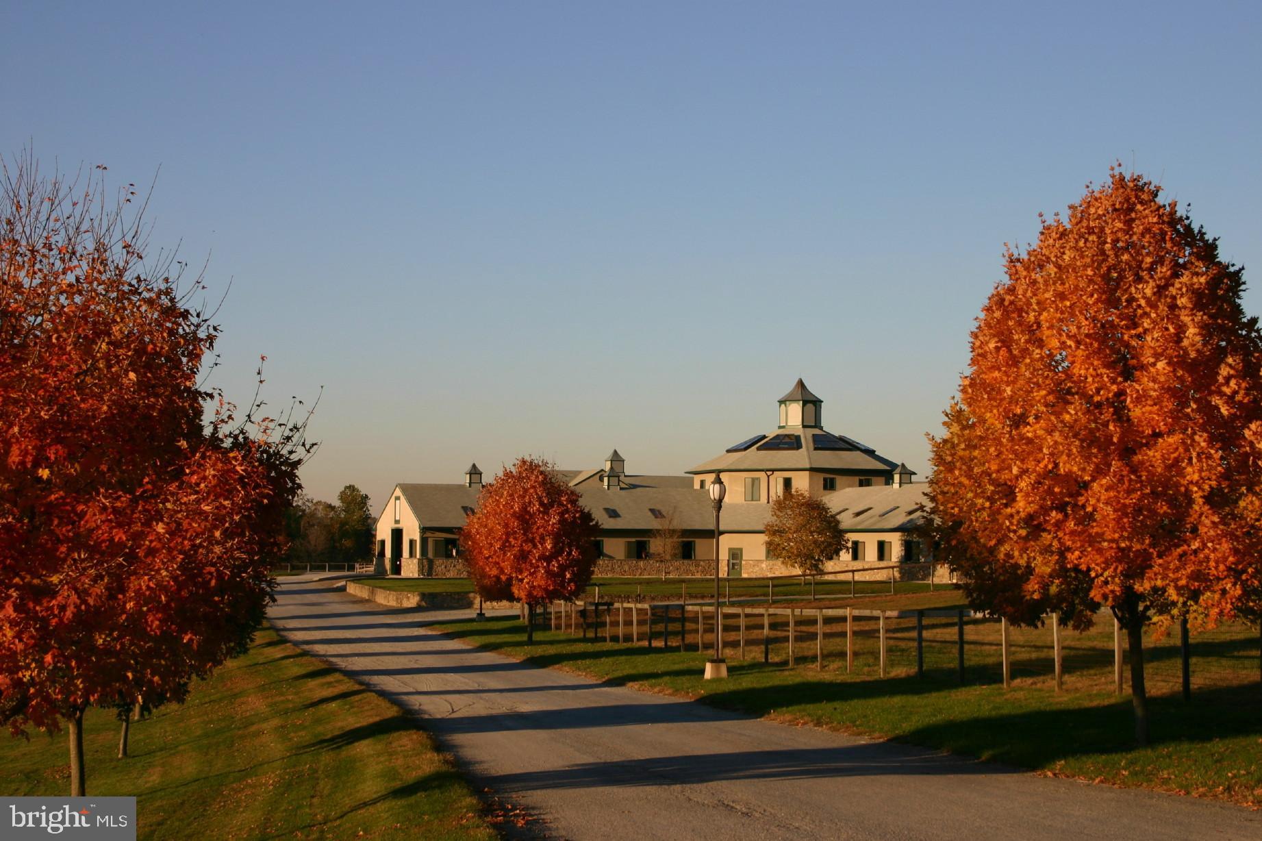 1089 Nesbitt Road Colora, MD 21917 - Photo 5 of 17