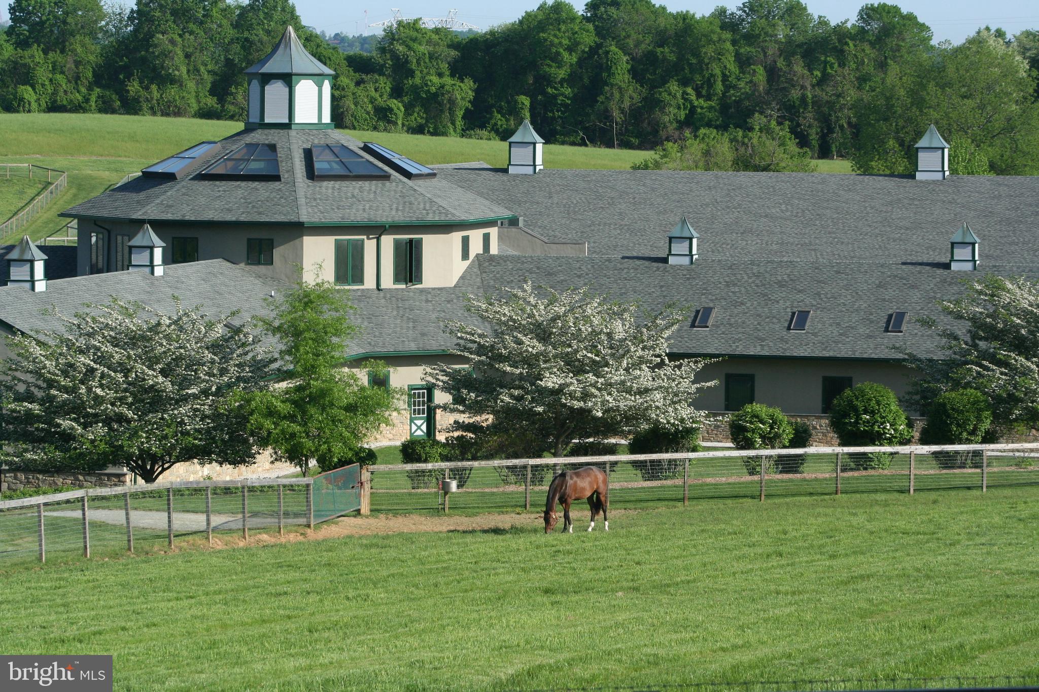 1089 Nesbitt Road Colora, MD 21917 - Photo 7 of 17
