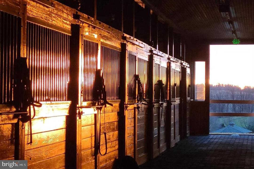 1089 Nesbitt Road Colora, MD 21917 - Photo 10 of 17