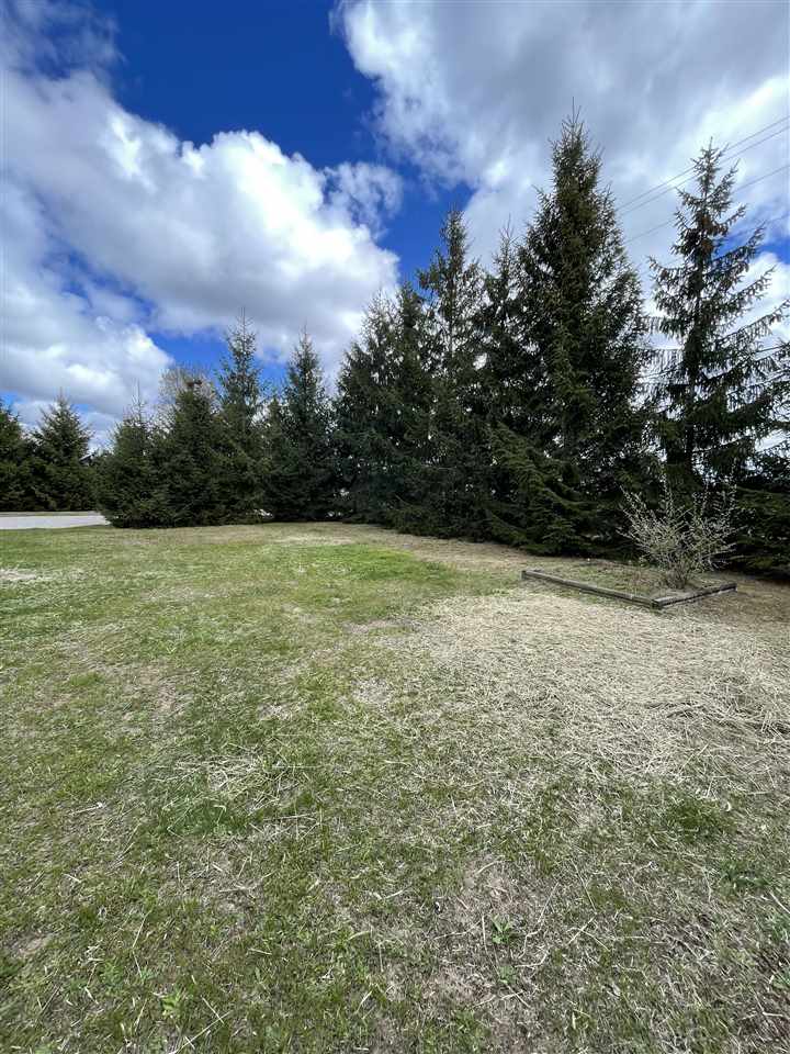 20822 Cinder Road Interlochen, MI 49643 - Photo 49 of 59 1887333-48.JPG