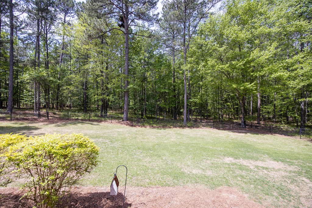 3450 McKee Road Upatoi, GA 31829 - Photo 34 of 44 Gallery Image 34