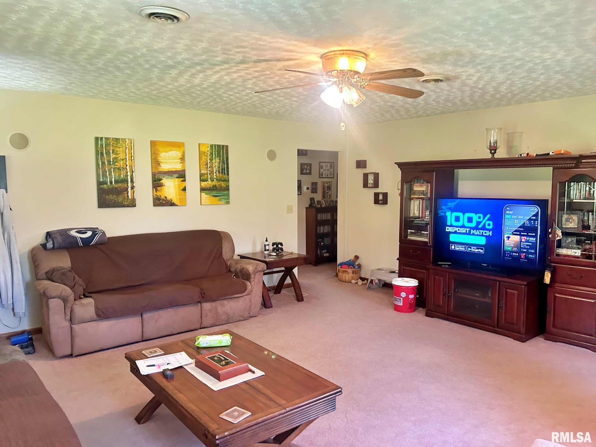 75 Wildman Road Golconda, IL 62938 - Photo 13 of 39 Gallery Image 13
