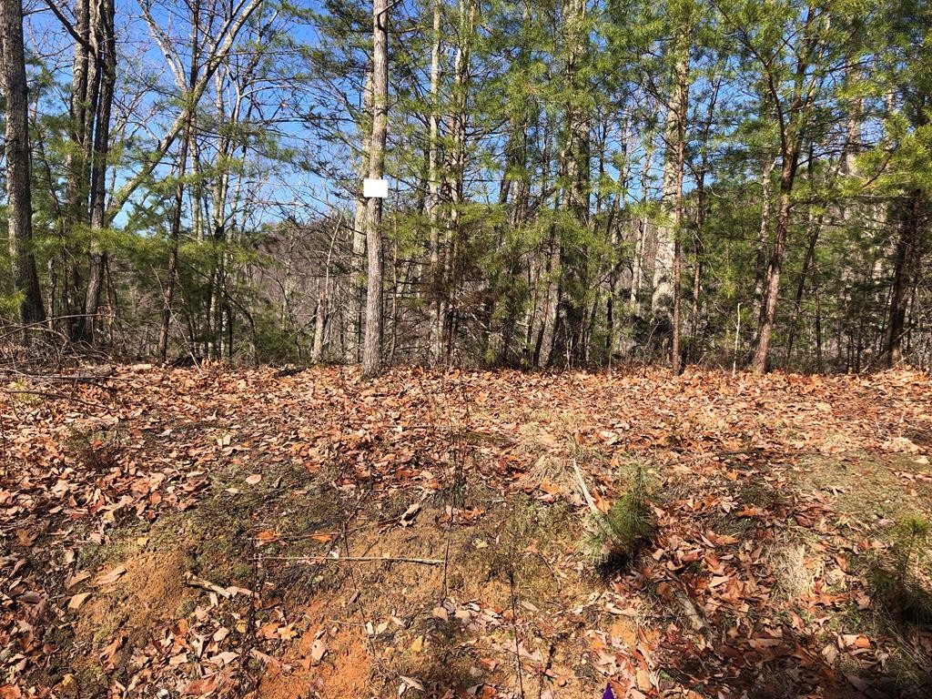 40 Hickory Tree Street Sevierville, TN 37876 - Photo 1 of 22