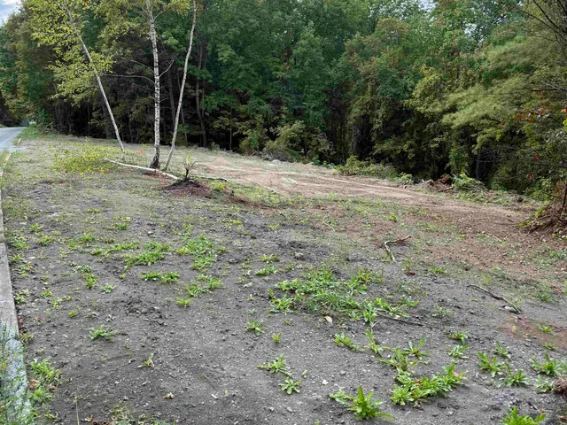 $19,950 | 0 Lafayette Street, St. Johnsbury, VT 05819