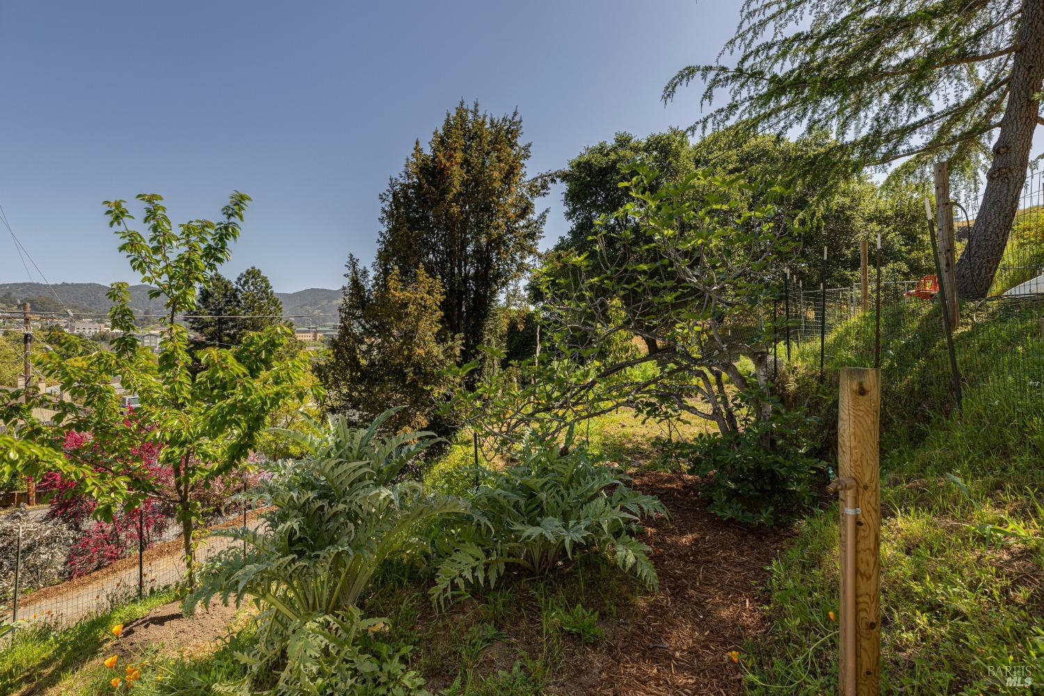 31 Martens Boulevard San Rafael, CA 94901 - Photo 31 of 50 a backyard of a house with lots of green space