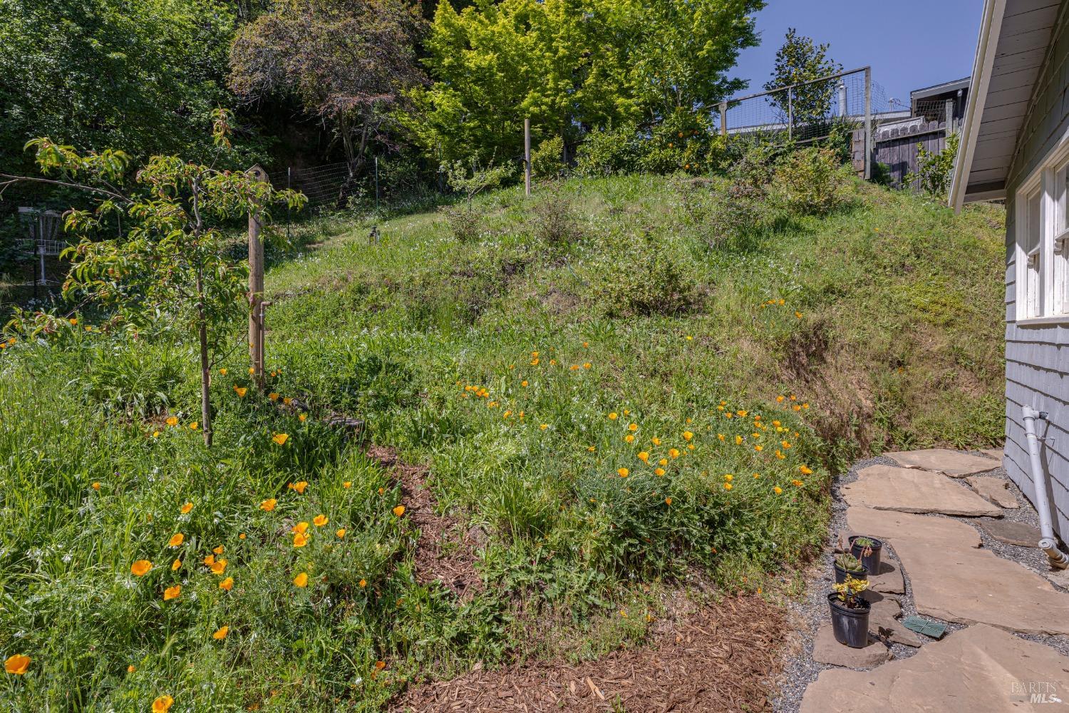 31 Martens Boulevard San Rafael, CA 94901 - Photo 35 of 50 a view of a yard with plants and a bench