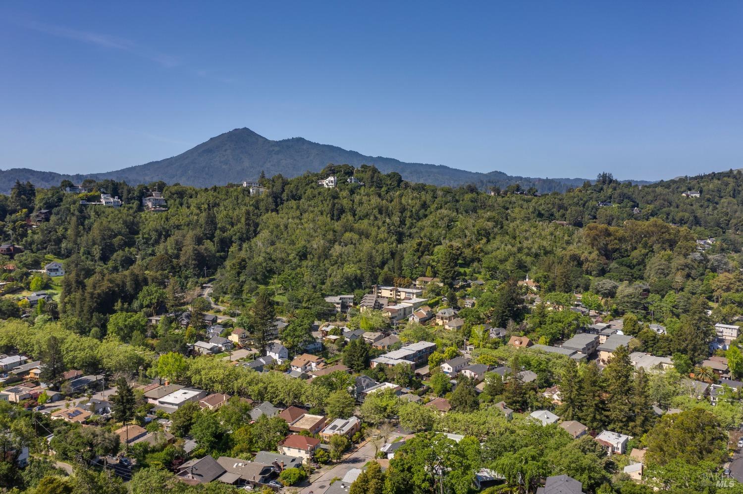 31 Martens Boulevard San Rafael, CA 94901 - Photo 36 of 50 a view of a lush green field