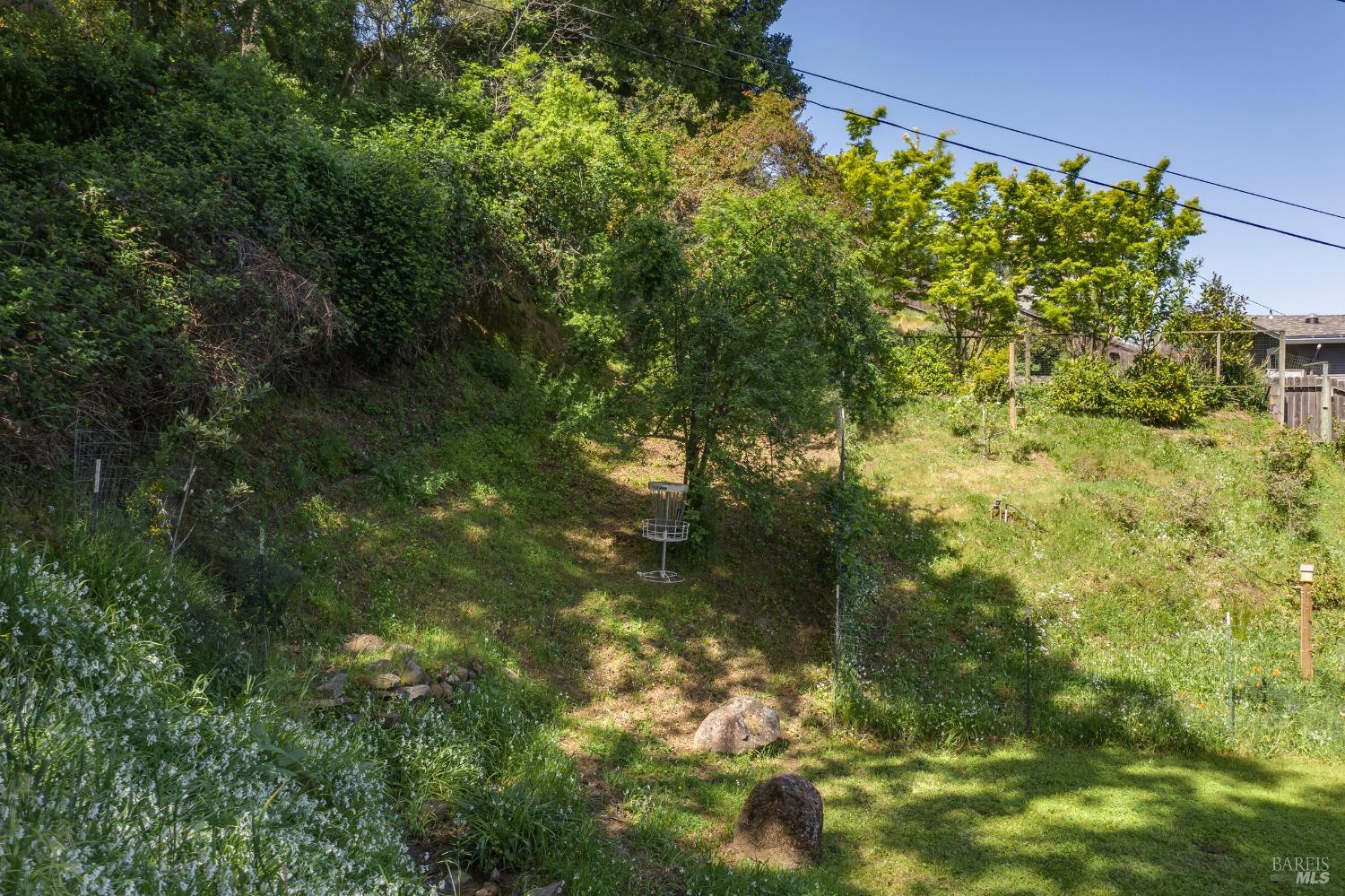 31 Martens Boulevard San Rafael, CA 94901 - Photo 43 of 50 a view of a garden