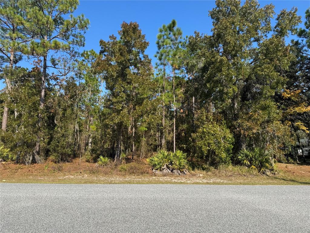 157 Daisy Street Homosassa, FL 34446 - Photo 1 of 1 a view of a house with a tree