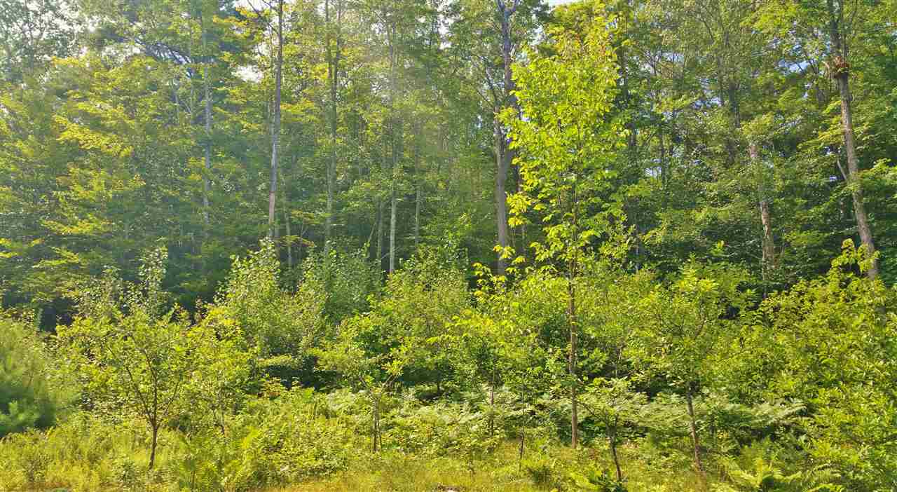 Lot 10 Powder Mill Road Alton, NH 03809 - Photo 2 of 6
