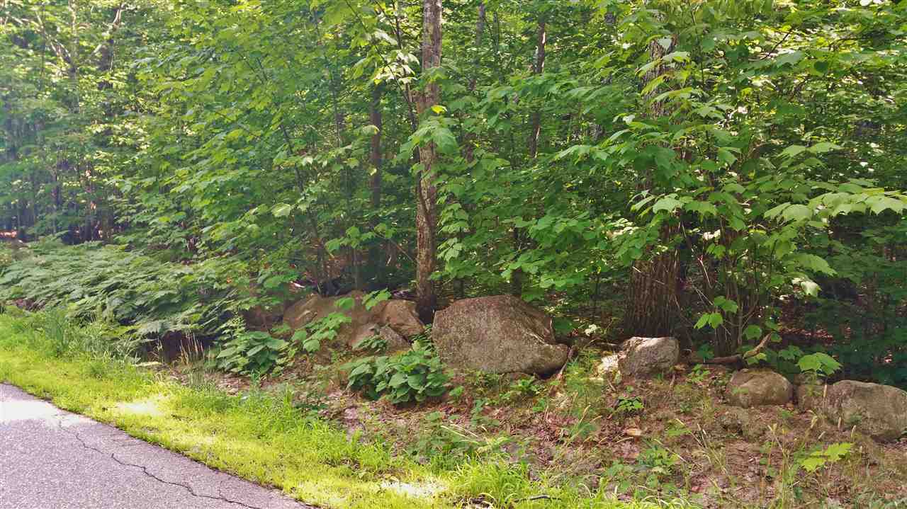 Lot 10 Powder Mill Road Alton, NH 03809 - Photo 3 of 6