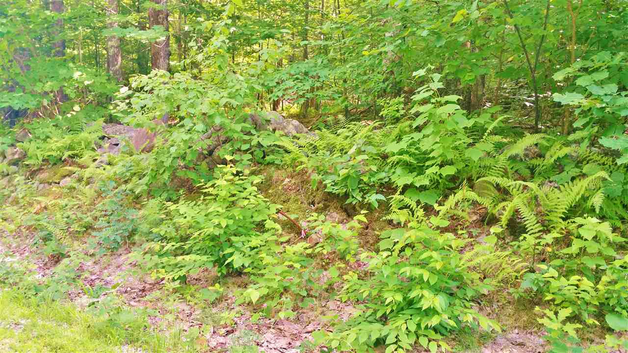 Lot 10 Powder Mill Road Alton, NH 03809 - Photo 4 of 6
