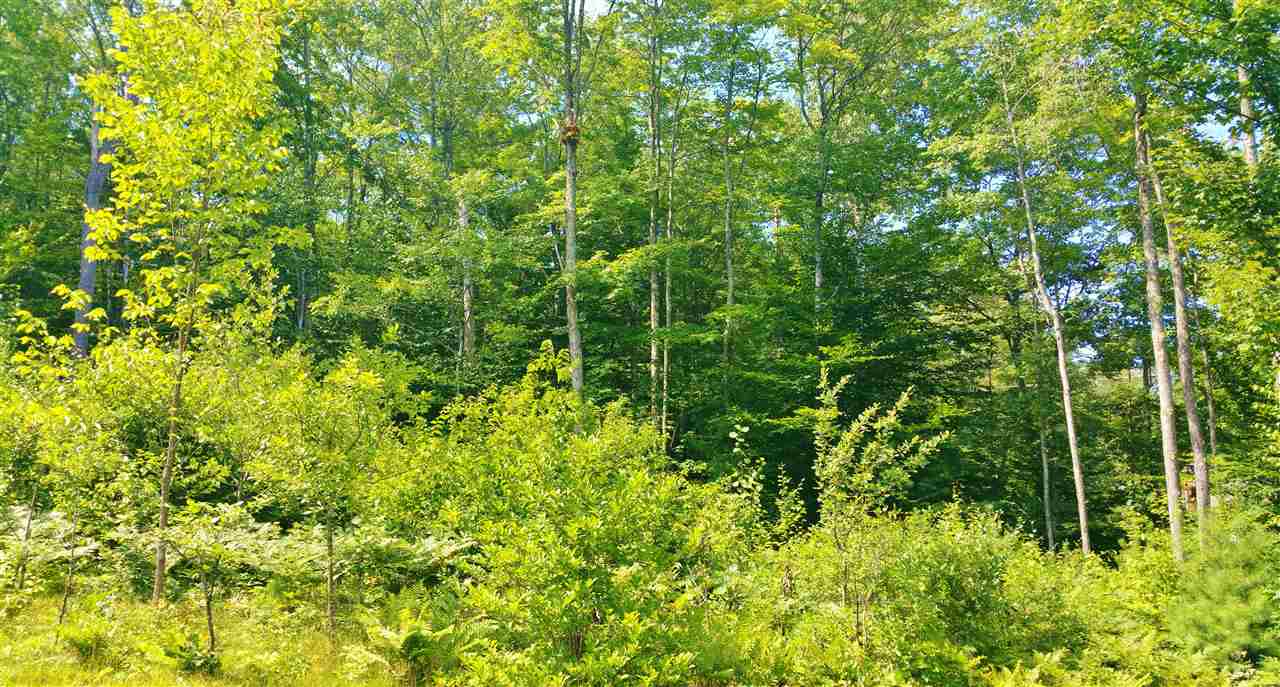 Lot 10 Powder Mill Road Alton, NH 03809 - Photo 6 of 6
