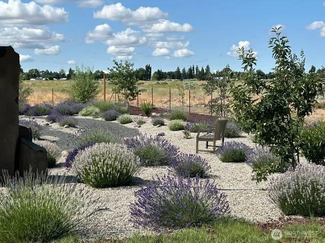 a view of a house with a yard and garden