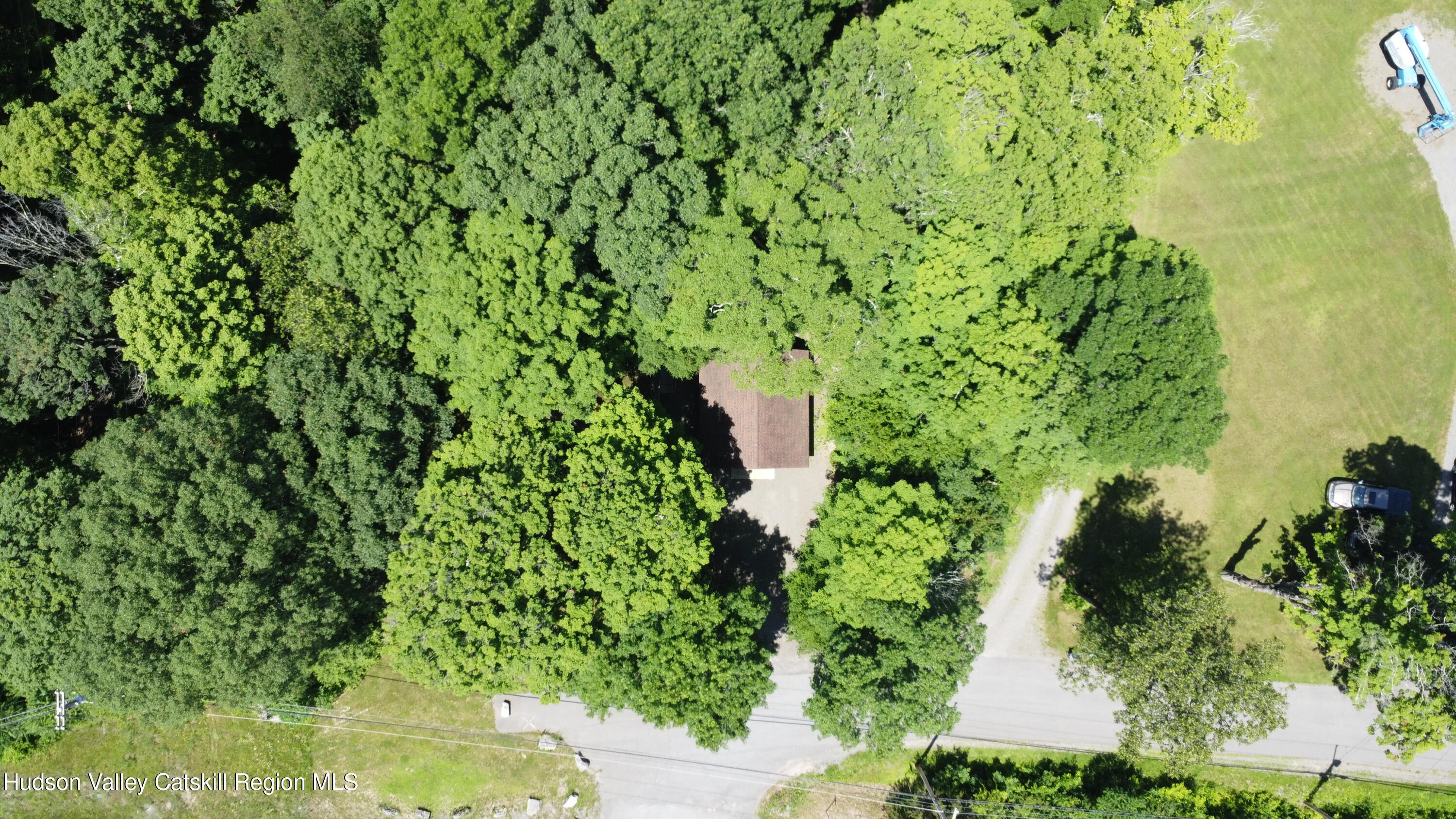 5 Will Palmer Road Catskill, NY 12414 - Photo 7 of 32 a plant with lots of trees