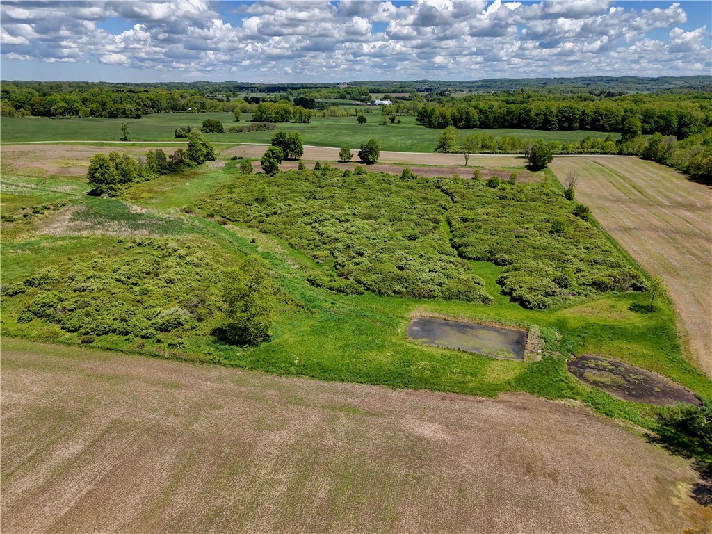 0 Wesley Road Bloomfield, NY 14469 - Photo 5 of 6