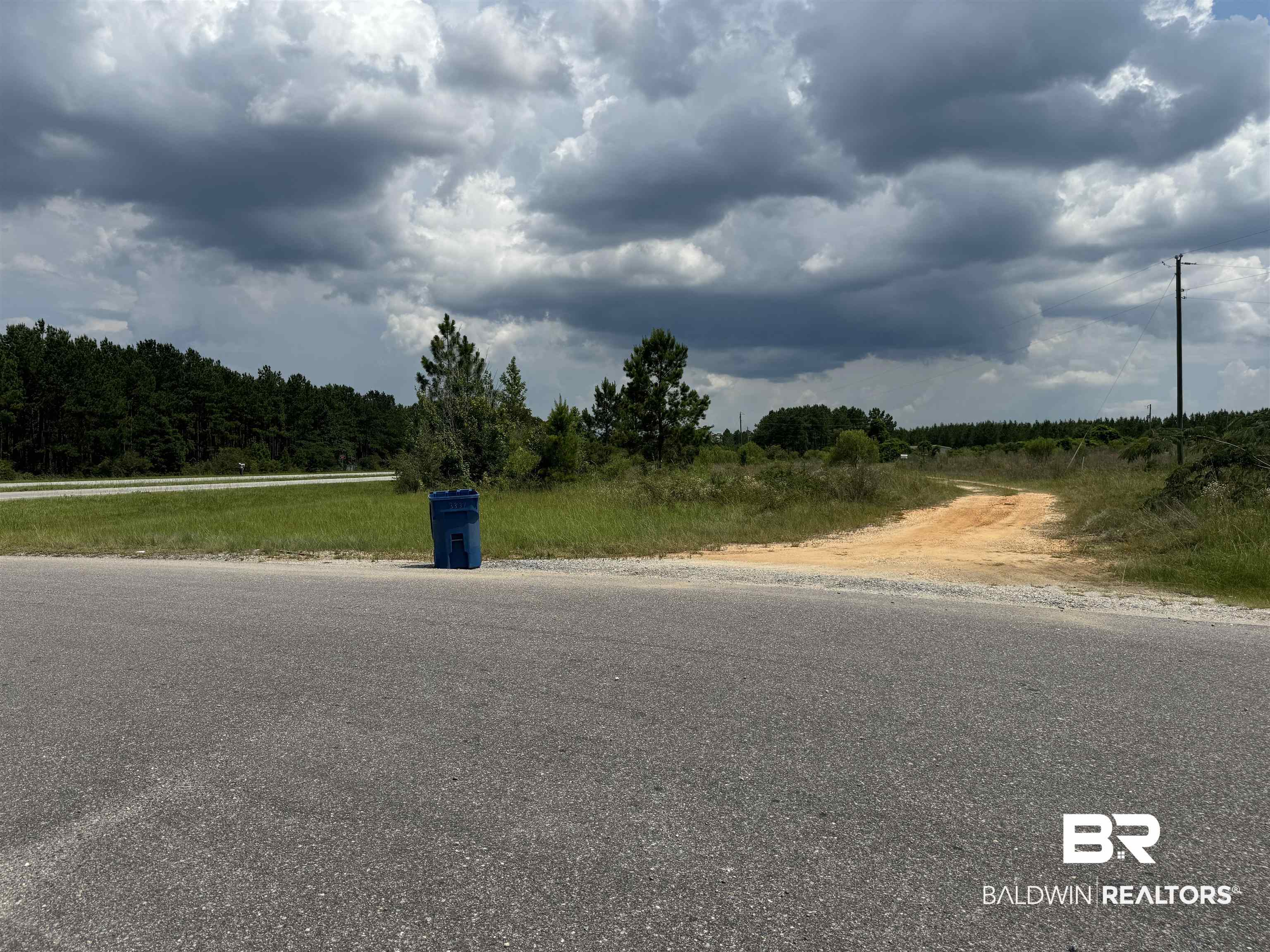 0 Highway 113 Flomaton, AL 36441 - Photo 11 of 24 View of street