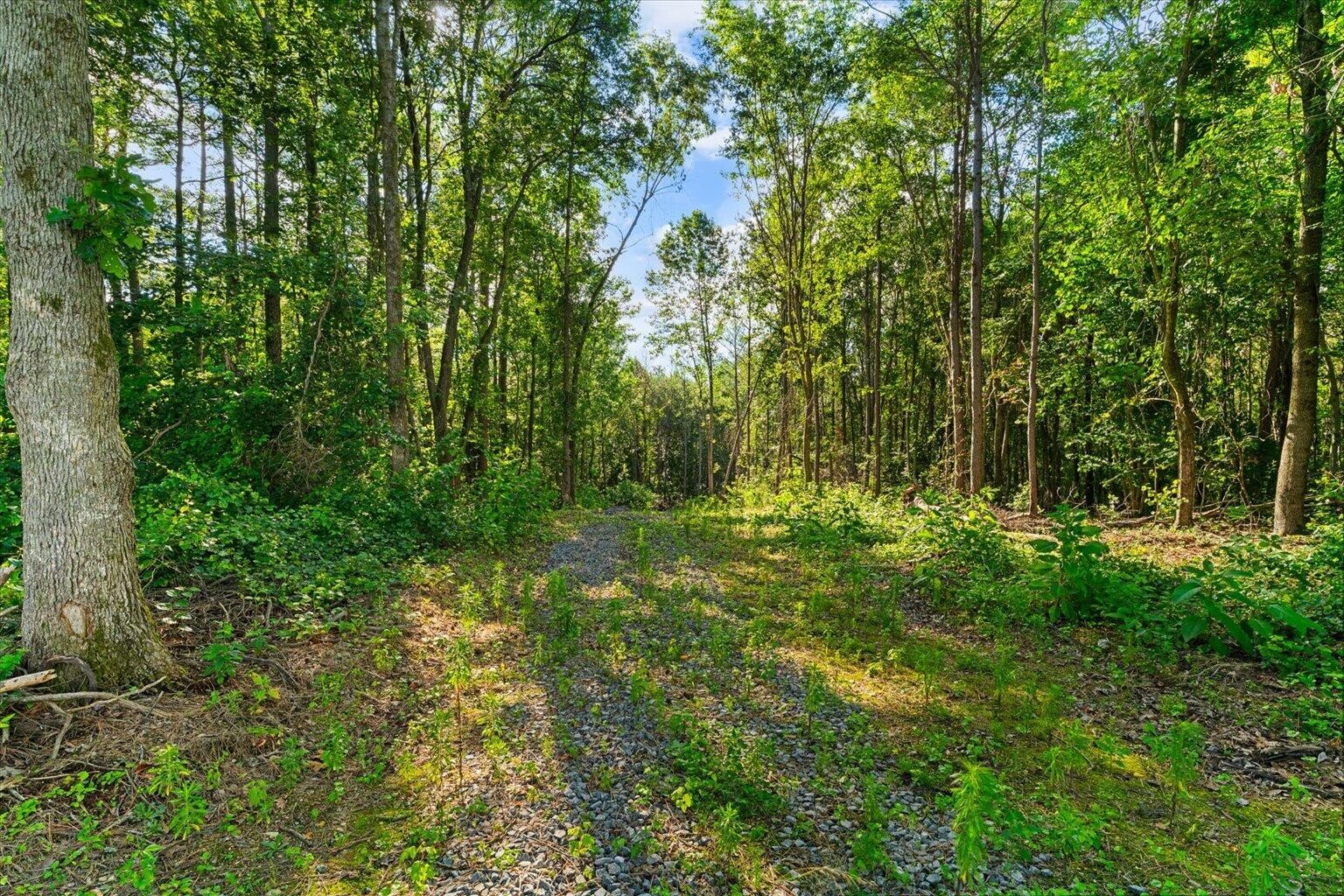 5 Ridge Road Old Fort, TN 37362 - Photo 7 of 13