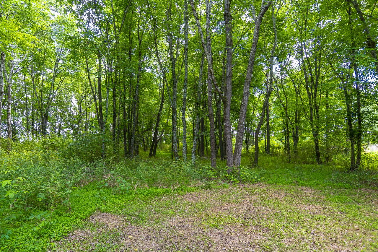 23 Grassy Branch Road Flintville, TN 37335 - Photo 6 of 24 a view of a grassy field with trees in the background