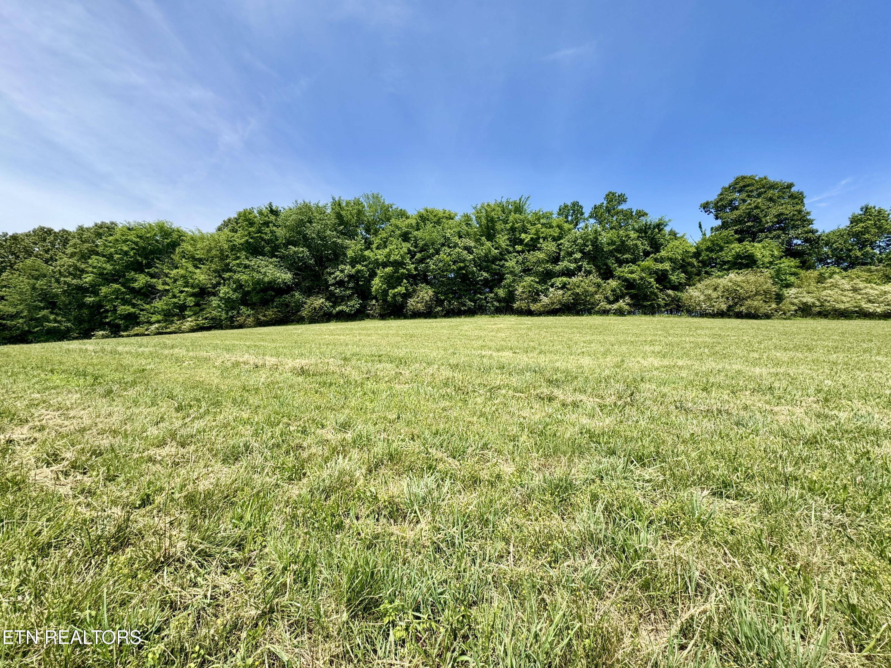 The Gates Drive Decatur, TN 37322 - Photo 2 of 16 2