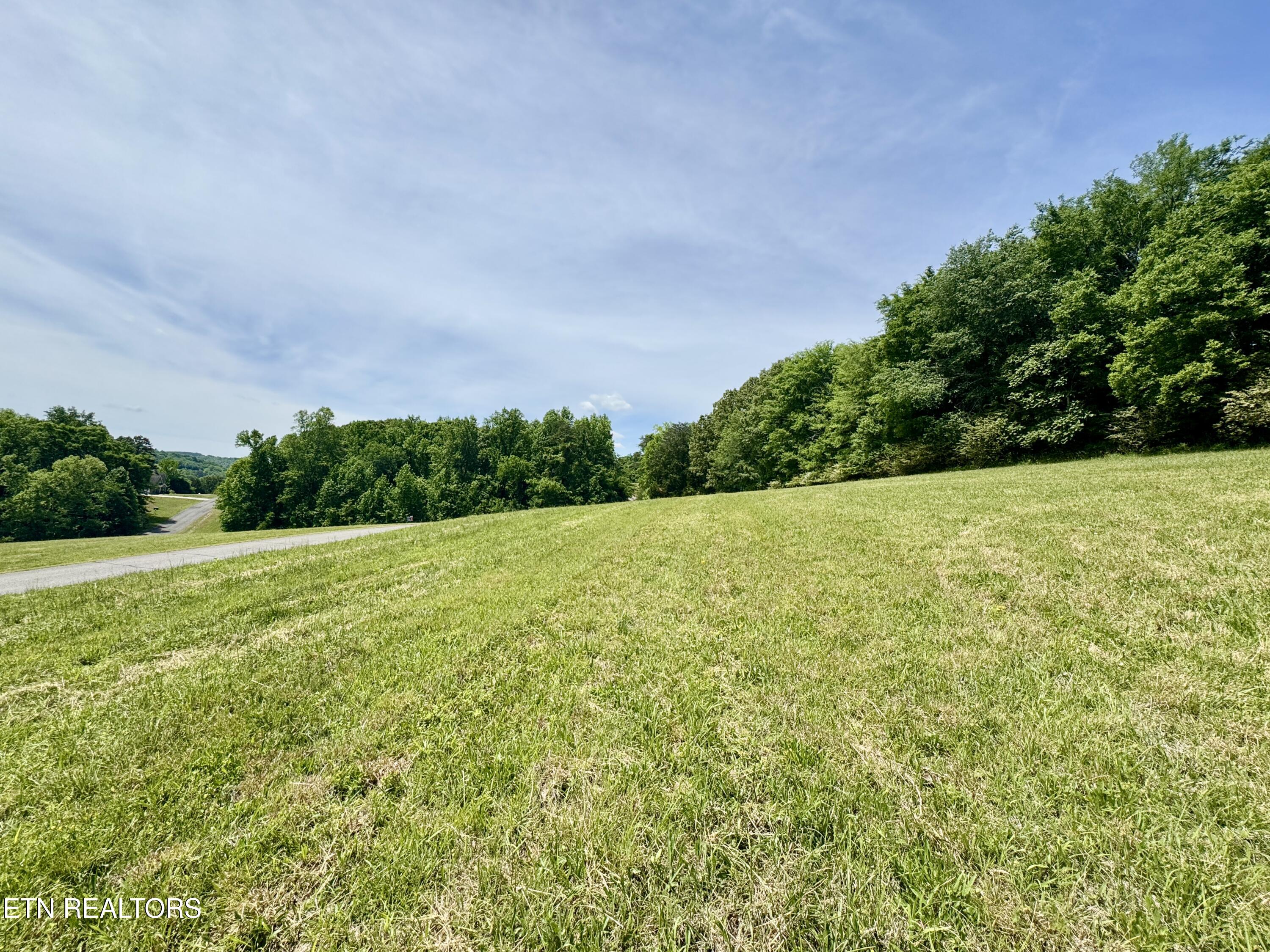 The Gates Drive Decatur, TN 37322 - Photo 3 of 16 3