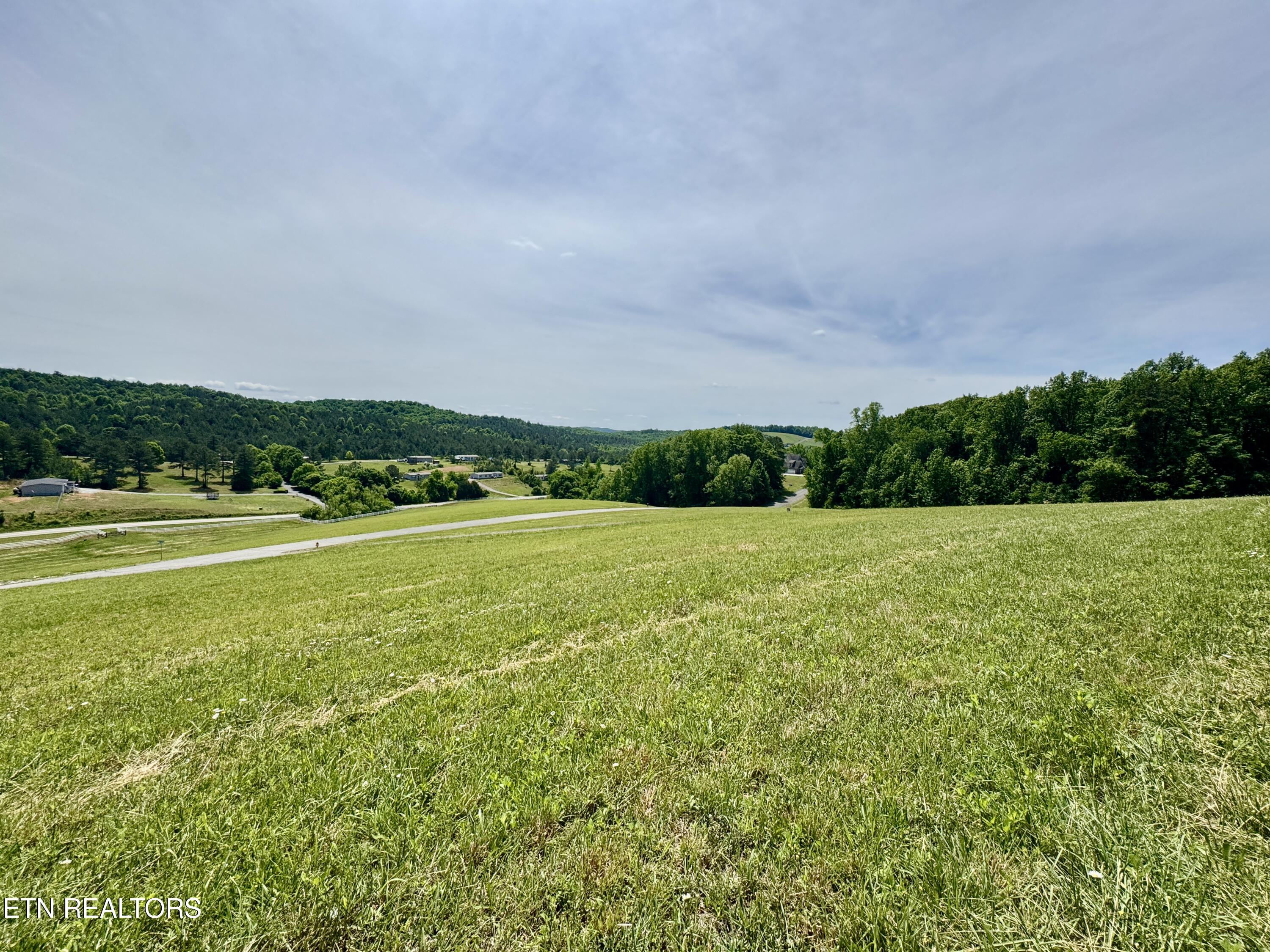The Gates Drive Decatur, TN 37322 - Photo 4 of 16 4