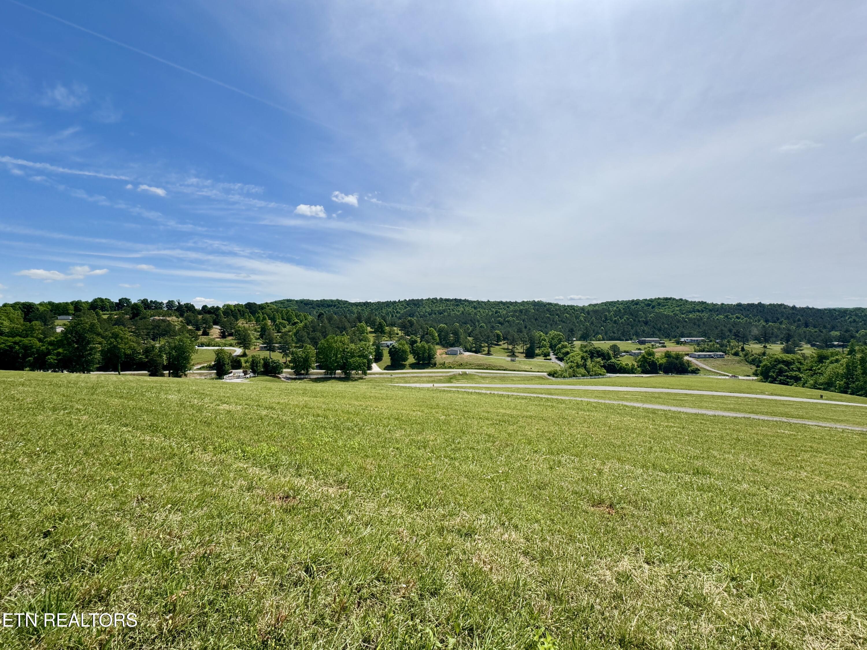 The Gates Drive Decatur, TN 37322 - Photo 5 of 16 5