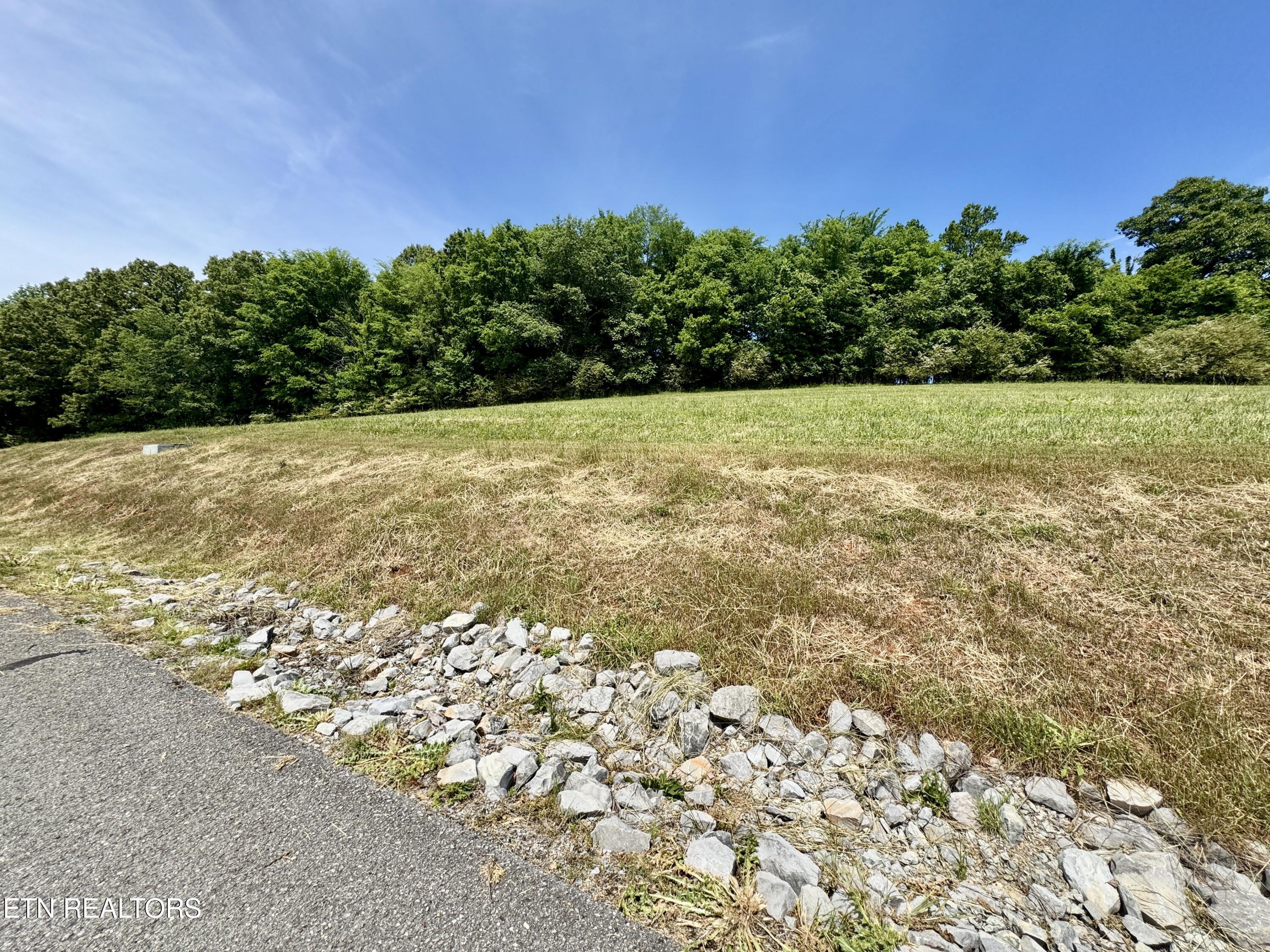 The Gates Drive Decatur, TN 37322 - Photo 6 of 16 6