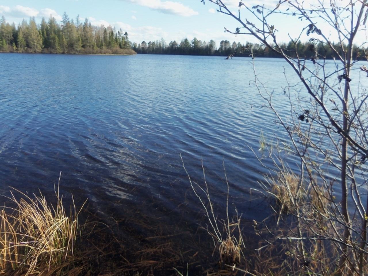 Lot 24 Weber Road Mercer, WI 54547 - Photo 11 of 19 Gallery Image 11
