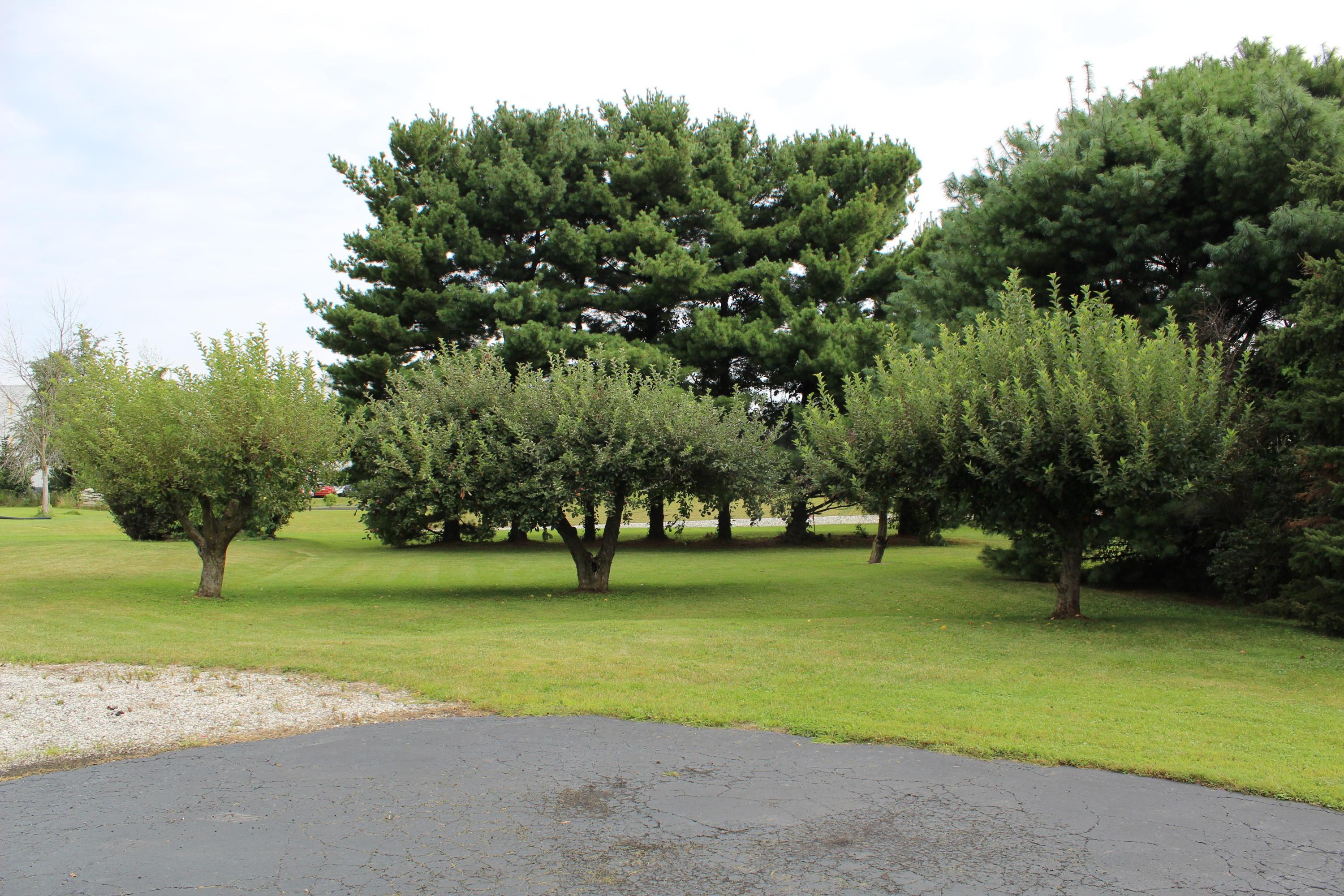 12234 National Road Southwest Pataskala, OH 43062 - Photo 12 of 25