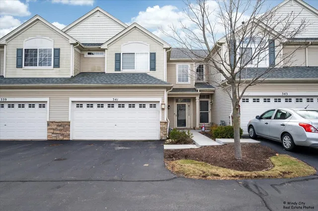 $315,000 | 341 John M Boor Drive, Gilberts, IL 60136