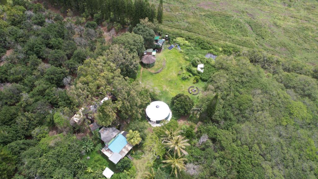 94-2132 South Point Road Naalehu, HI 96772 - Photo 10 of 13
