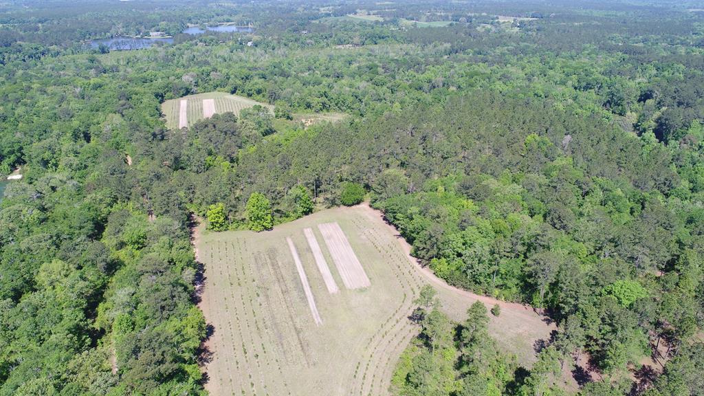 397 Maddox Road Thomasville, GA 31792 - Photo 22 of 40 Gallery Image 22