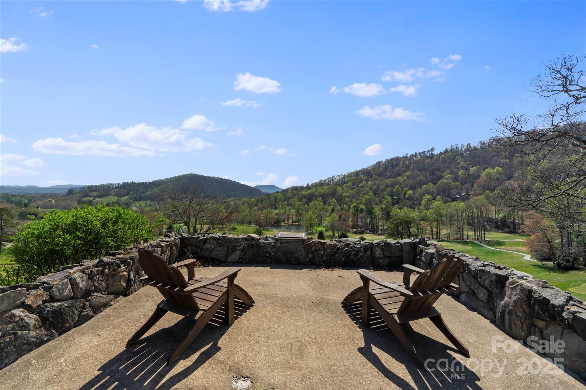 4 Willow View Drive Mills River, NC 28759 - Photo 48 of 48