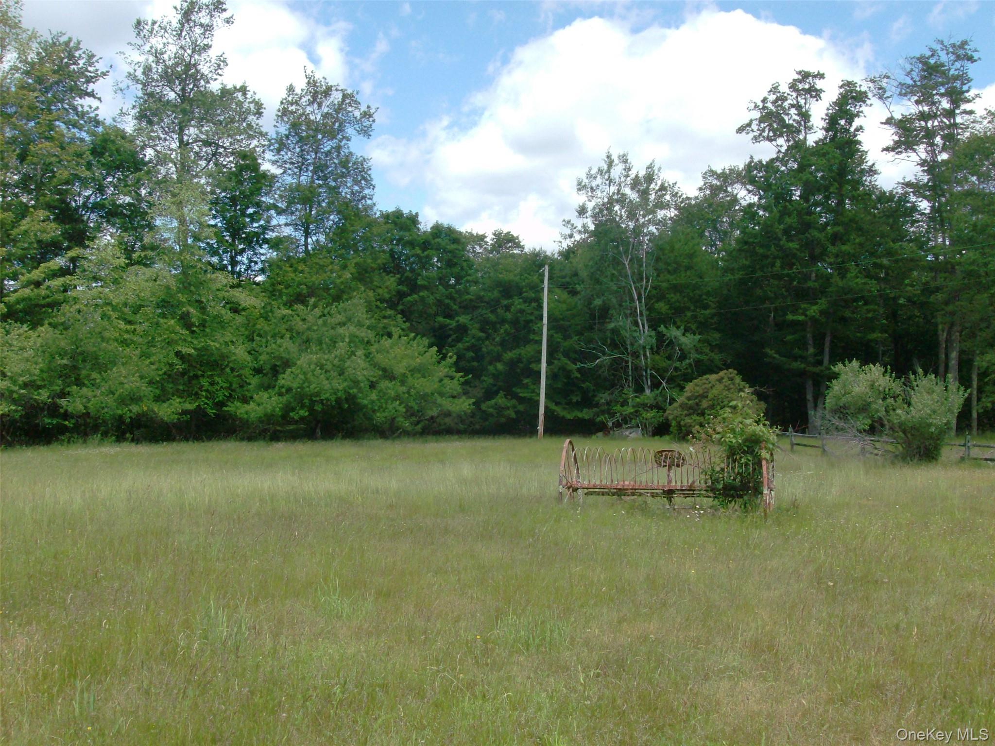 70 Bonnie Brook Road Roscoe, NY 12776 - Photo 11 of 33