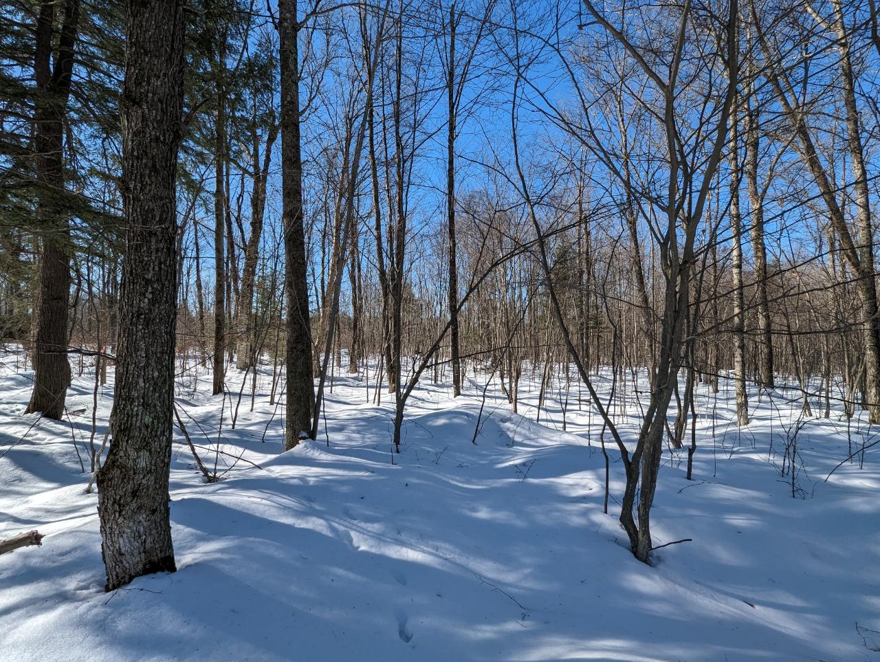 On Meridian Road Prentice, WI 54556 - Photo 15 of 21 Gallery Image 15