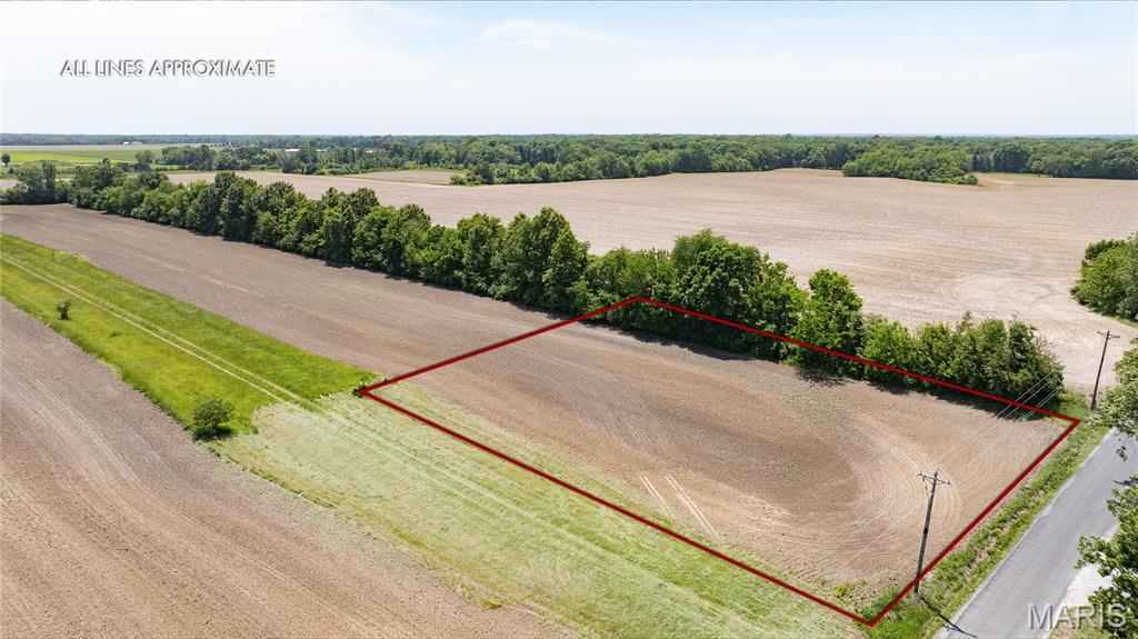 0 Ash Lane Brighton, IL 62012 - Photo 8 of 16