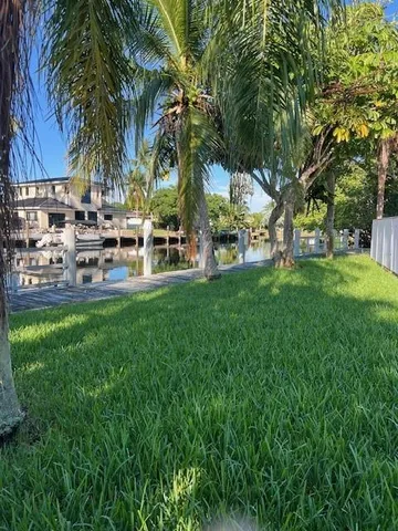a couple of palm trees sitting in a yard with swimming pool