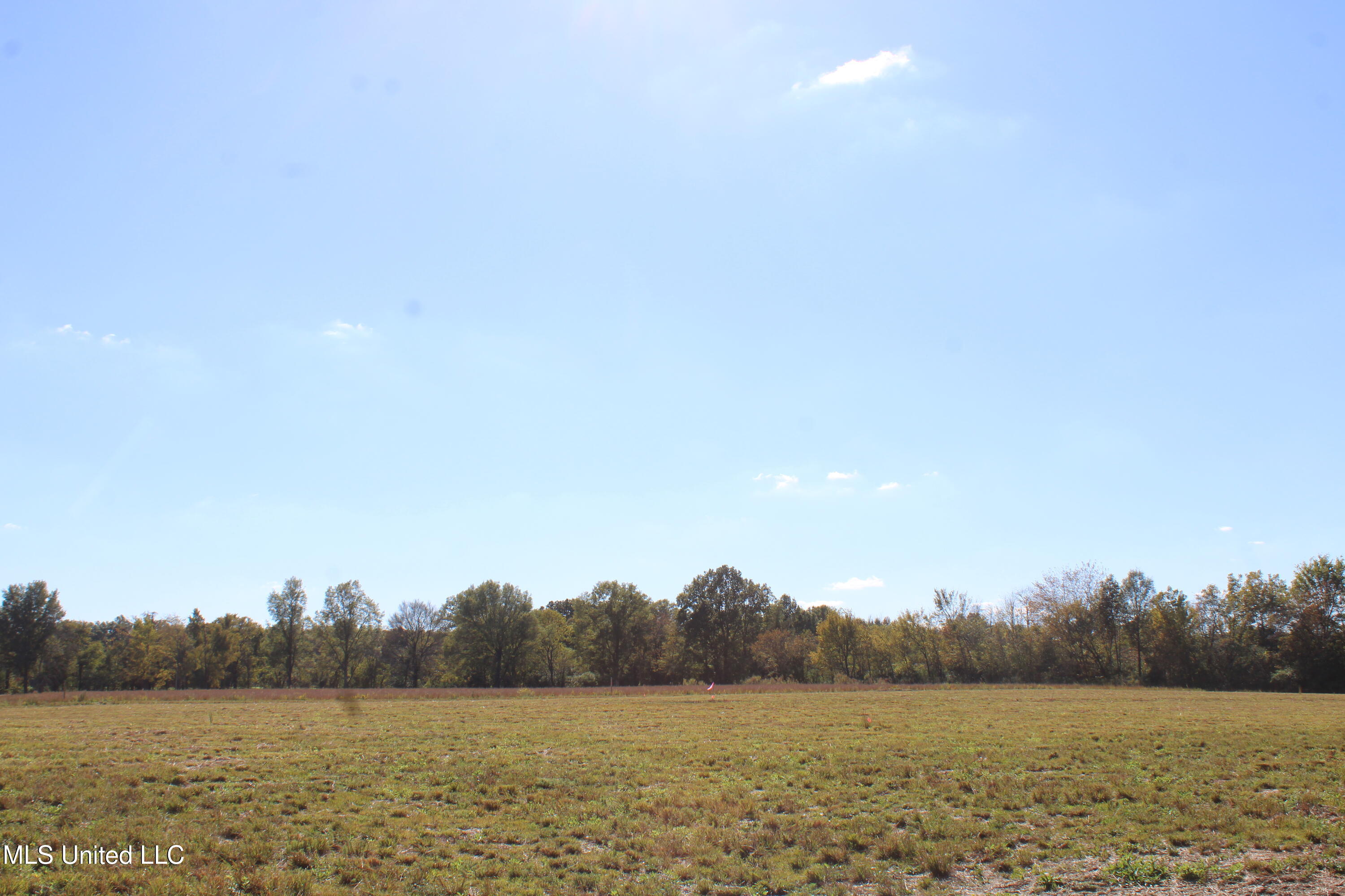 27 Pin Oak Road Michigan City, MS 38647 - Photo 11 of 22 IMG_6907