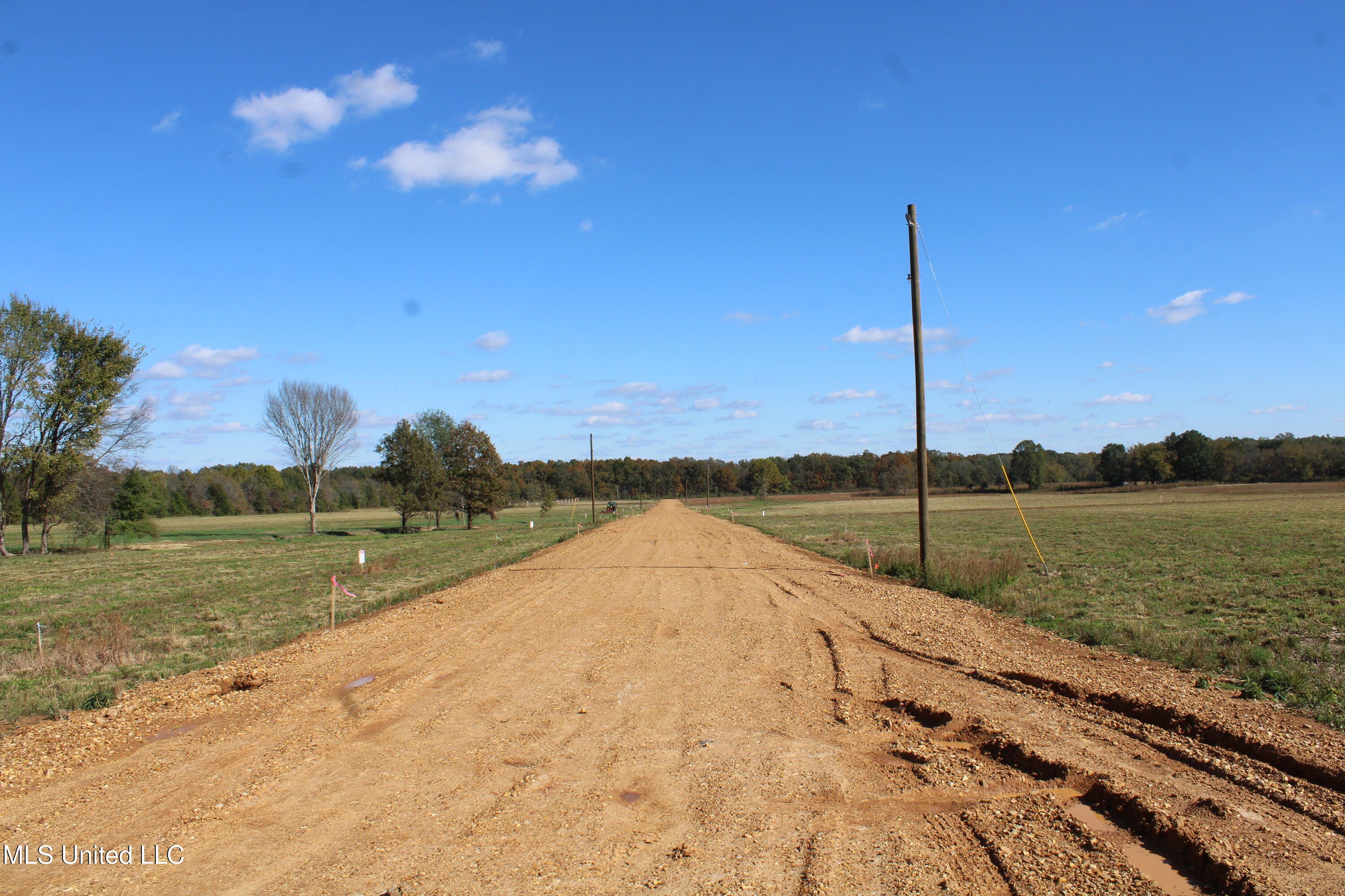 27 Pin Oak Road Michigan City, MS 38647 - Photo 12 of 22 IMG_6908